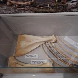 Subalyuk-Múzeum Cserépfalu - Egyéb