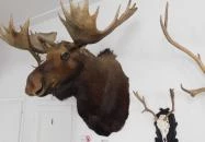 Sümegi Afrikárium Sümeg