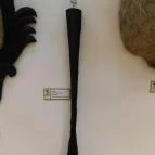 Sümegi Afrikárium Sümeg - 