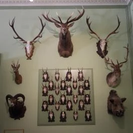 Szabadkígyósi Wenckheim-kastély Szabadkígyós - Egyéb