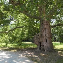 Szabadkígyósi Wenckheim-kastély Szabadkígyós - Egyéb