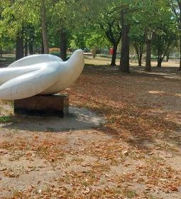 A szabadság szárnyaló madara