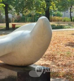 A szabadság szárnyaló madara