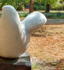 A szabadság szárnyaló madara