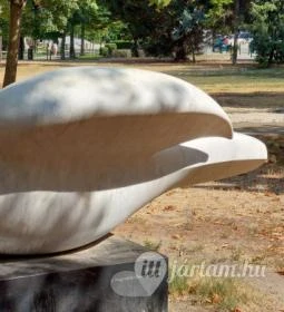 A szabadság szárnyaló madara