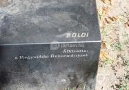 A szabadság szárnyaló madara Budapest