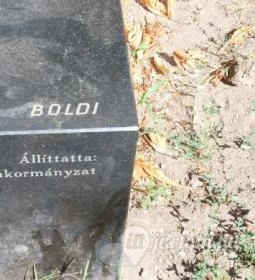 A szabadság szárnyaló madara