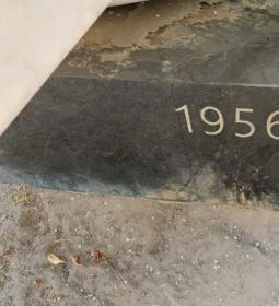 A szabadság szárnyaló madara