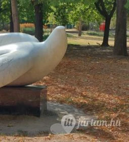 A szabadság szárnyaló madara