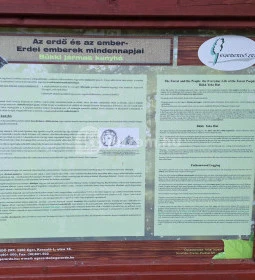 Szabadtéri Erdei Múzeum