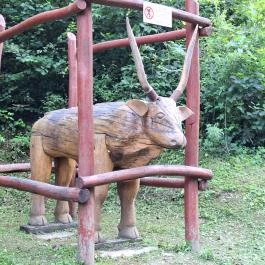 Szabadtéri Erdei Múzeum, Szilvásvárad - Egyéb