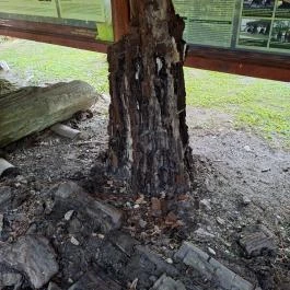 Szabadtéri Erdei Múzeum, Szilvásvárad - Egyéb