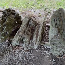 Szabadtéri Erdei Múzeum, Szilvásvárad - Egyéb