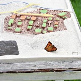 Szabadtéri Néprajzi Múzeum Szentendre - Egyéb