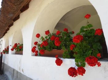 Schumacher-ház Nagyvázsony