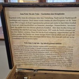 Szabari Sváb Ház Székelyszabar - Egyéb