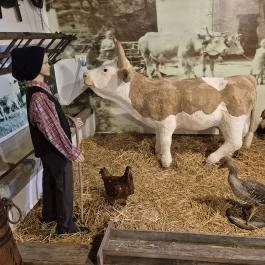 Szabari Sváb Ház Székelyszabar - Egyéb