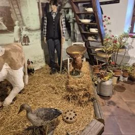 Szabari Sváb Ház Székelyszabar - Egyéb