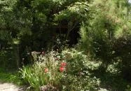 Szabó Pál Irodalmi Emlékház Biharugra