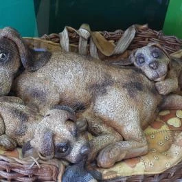 Szamos Marcipán Múzeum Cukrászda, Szentendre - Egyéb