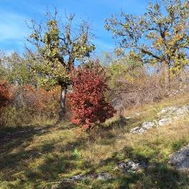 Szádvár - Fellegvár Szögliget - Külső kép