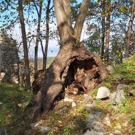 Szádvár - Fellegvár, Szögliget - Egyéb