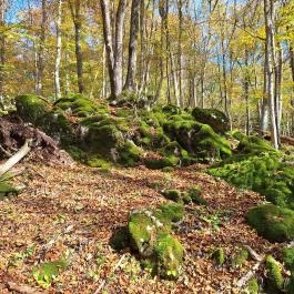 Szádvár - Fellegvár, Szögliget - Egyéb