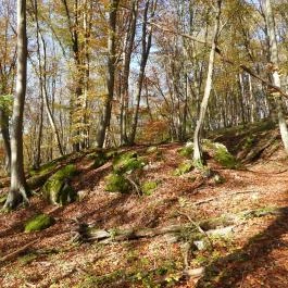 Szádvár - Fellegvár, Szögliget - Egyéb