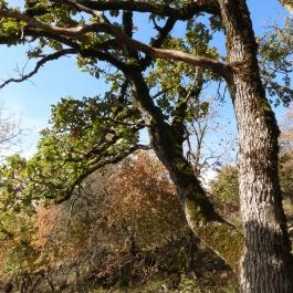 Szádvár - Fellegvár, Szögliget - Egyéb