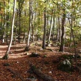 Szádvár - Fellegvár, Szögliget - Egyéb