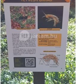 Szádvár tanösvény