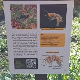 Szádvár tanösvény, Szögliget - Egyéb