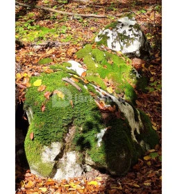 Szádvár tanösvény