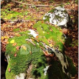 Szádvár tanösvény, Szögliget - Egyéb