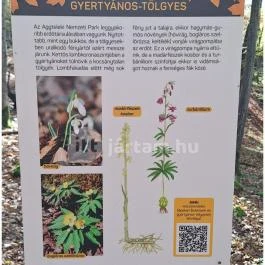 Szádvár tanösvény, Szögliget - Egyéb