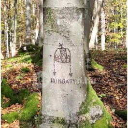 Szádvár tanösvény, Szögliget - Egyéb