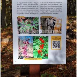 Szádvár tanösvény, Szögliget - Egyéb