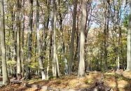 Szádvár tanösvény Szögliget