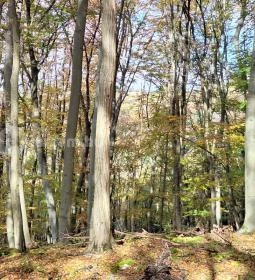 Szádvár tanösvény