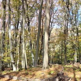 Szádvár tanösvény, Szögliget - Külső kép