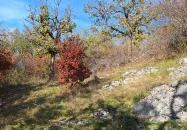 Szádvár tanösvény Szögliget