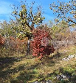 Szádvár tanösvény