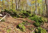 Szádvár tanösvény Szögliget