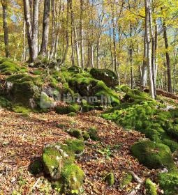 Szádvár tanösvény