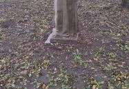 Szakáts kastély Kápolnája Bölcske