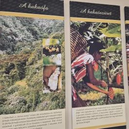 Szamos Csokoládé Múzeum, Budapest - Egyéb