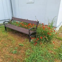 Szapáry-kápolna Tiszabura - Egyéb