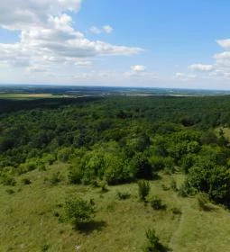 Szár-hegyi kilátó