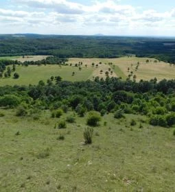 Szár-hegyi kilátó