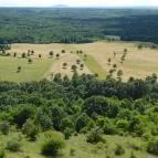 Szár-hegyi kilátó Ugod - 